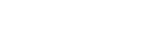 SavvyFi Logo